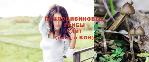 спиды Алзамай