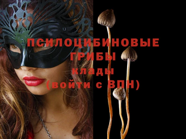 спиды Алзамай
