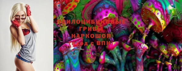 спиды Алзамай